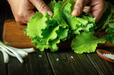 Vejetaryen kahvaltısı hazırlamadan önce mutfak tahtasındaki marul yapraklarını sıralarken bir aşçı elinin yakın çekimi. Bir dizi vitamin için sağlıklı sebze yiyeceği.