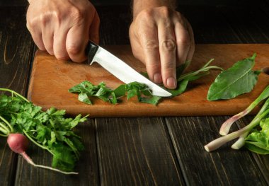 Öğle yemeği için taze sebze ve kuş yapraklarından diyet salatası pişiriyorum. Aşçı elleri mutfak tahtasına bıçakla özür diliyordu. Taze sebze yararlı diyet