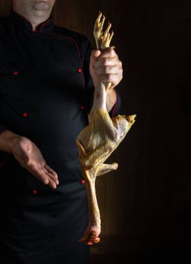 Kızarmış tavuk pişirmeden önce horoz sunumu. Aşçı elinde çiğ bir horoz tutuyor. Restoran veya otel için tavuk menüsü kavramı.