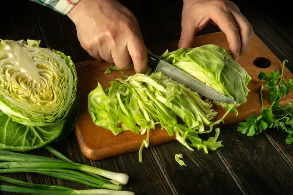 Cutting fresh cabbage with a knife in the hands of a cook before preparing national or vegetarian dishes. Copy space