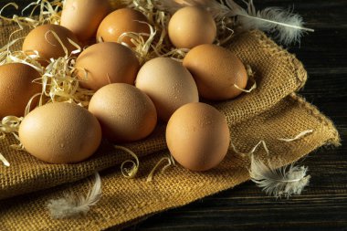 Tüyler ve çuval bezi arasında bir sürü yumurta var. Yumurtaları gelecek hasattan önce tavuğa hazırlıyorum. Yumurtalar lezzetli yemekler yapmak için kullanılır..