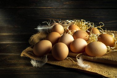 Çuval bezinde tüy ve samanla bir sürü kahverengi tavuk yumurtası. Yumurta öğle yemeği için sağlıklı bir yemektir. Siyah panodaki reklam alanı.