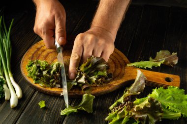 Mutfak masasında salata hazırlıyorum. Marul yaprakları insan eliyle kesiliyor. Marullu vejetaryen gıda konsepti.