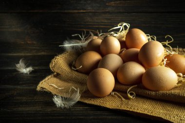 Tavuk kahverengi yumurtalar hasat edilmeden önce çuval bezine samanla yerleştirilir. Yumurta pişirme kavramı. Tahtalardaki reklam alanı.