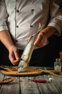 Şef mutfakta uskumru ya da scomber pişirir. Restoran ya da otel için balık yemi pişirme kavramı. Mutfak masasında baharatlar ve otlarla dolu rahat bir atmosfer..