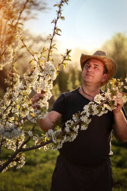 Hasır şapka takan bir adam yemyeşil bir tarlada çiçek açan bir meyve ağacının dallarını dikkatle inceler. Sıcak güneş ışığı narin çiçekleri vurguluyor ve sakin bir atmosfer yaratıyor..