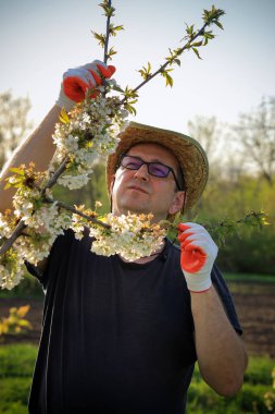 Hasır şapkalı ve eldivenli bir adam beyaz çiçeklerle süslenmiş ağaç dallarını dikkatle inceler. Ayar parlak bir gökyüzü ve yemyeşil, baharın geldiğini gösteriyor..