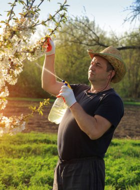 Hasır şapkalı deneyimli bahçıvan yemyeşil bir alanda çiçek açan bir ağaca sıvı bakım çözeltisi püskürtür. Altın saatin sıcacık ışığı sahnede huzur dolu bir parıltı yayar..