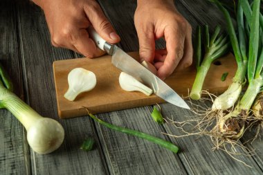Kırsal bir tahta üzerinde eller ustalıkla taze yeşil soğan doğradı. Canlı sebzeler arasında kökler ve tabakları geliştirmek için ideal olan gevrek yeşil üstler yer alıyor. Mutfak aktivitesi rahat bir mutfakta başlar..