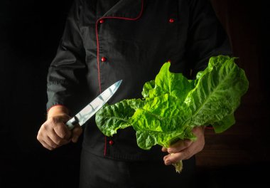 Profesyonel bir aşçı karanlık bir mutfakta elinde koca bir baş marul, diğerinde de hazırlığa hazır parlak bir bıçakla durur. Atmosfer odaklı ve aşçıdır..
