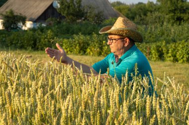 Hasır şapkalı bir çiftçi gün batımında buğday mahsulünü teftiş eder. Etrafındaki yemyeşil alan, arka planda kırsal bir ev ve ağaçlarla çevrili, kırsal yaşamı aydınlatıyor..