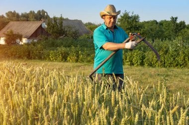 Hasır şapkalı bir çiftçi buğday kesmeden önce tırpanı bilenir. Yeşillik ve köy binaları arka planda görülebiliyor, barışçıl bir kırsal atmosfer yaratıyor..
