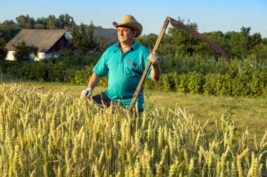 Bir çiftçi buğday tarlasında çalışıyor, olgun ürünleri toplamak için tırpan kullanıyor. Güneş batıyor, yemyeşil manzaranın üzerine ılık bir parıltı saçıyor ve yakınlardaki tuhaf bir çiftlik evi..