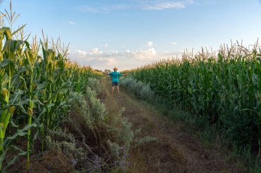 Bir çocuk gecenin erken saatlerinde uzun mısır bitkileriyle çevrili dar bir patikada yürür. Gökyüzü yumuşak bulutlar ve sıcak bir parıltı sergiliyor, sakin bir atmosfer yaratıyor..