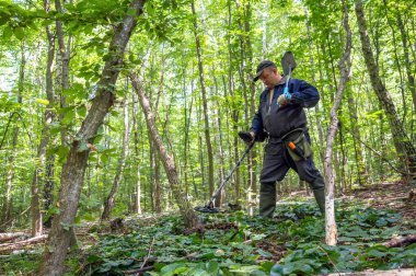Canlı bir ormanda, bir birey bir metal dedektörü kullanıyor, yeşillik ve çalılıklarla kaplı zemini dikkatlice araştırıyor. Güneş ışığı gölgelikten süzülür.