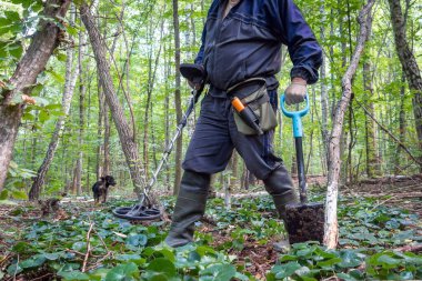 Bir insan yemyeşil bir ormanda metal dedektörüyle hazine arıyor. Bu sakin ortamda hazine avına bir köpek eşlik ediyor..