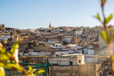 Fas 'ın eski tarihi kenti Fez. Ön planda bitkiler.