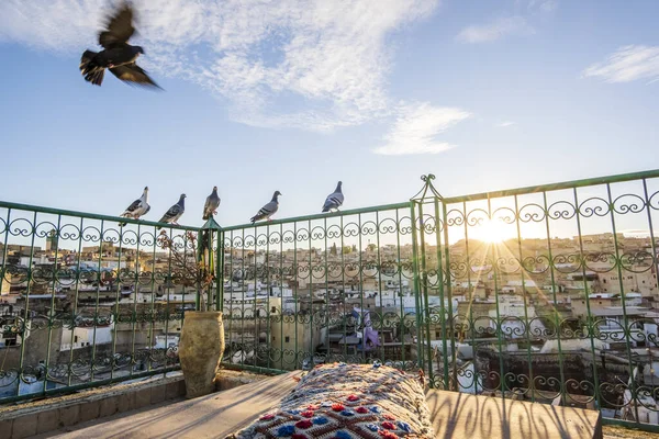 日没時にメディナの屋上テラスで休んでいる鳩 フェズ モロッコ 北アフリカ — ストック写真