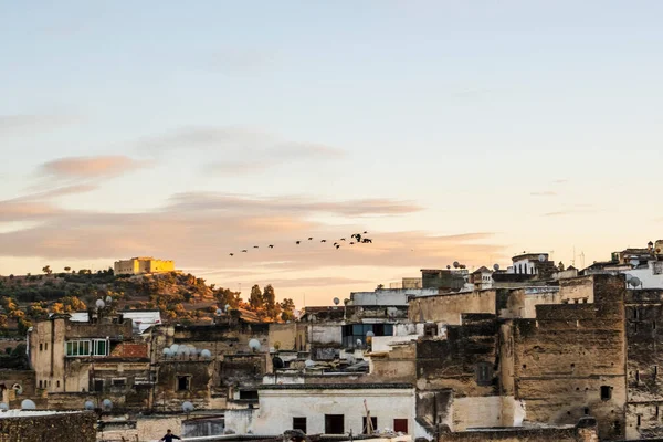 Staré Historické Město Fez Hejnem Ptáků Letících Západu Slunce Morroco — Stock fotografie