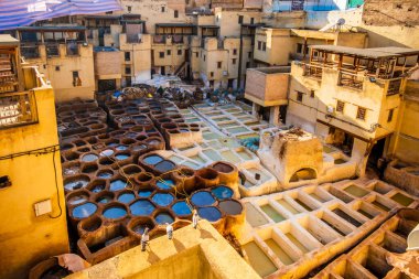 Famous tannery in sunny Fez, Morocco, North Africa