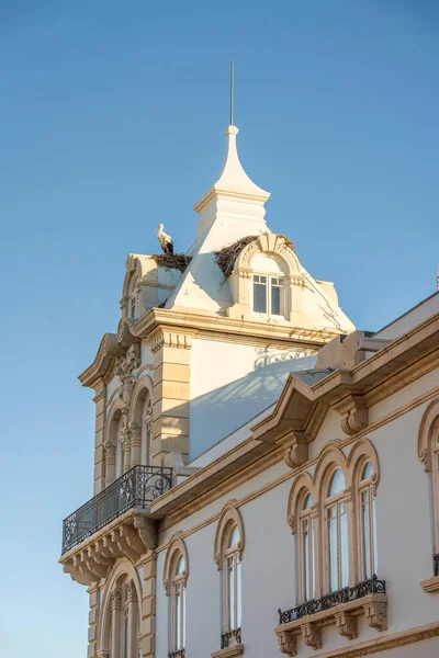 Stork Tornet Belmarco Palace Landmärke Faro Algarve Portugal — Stockfoto