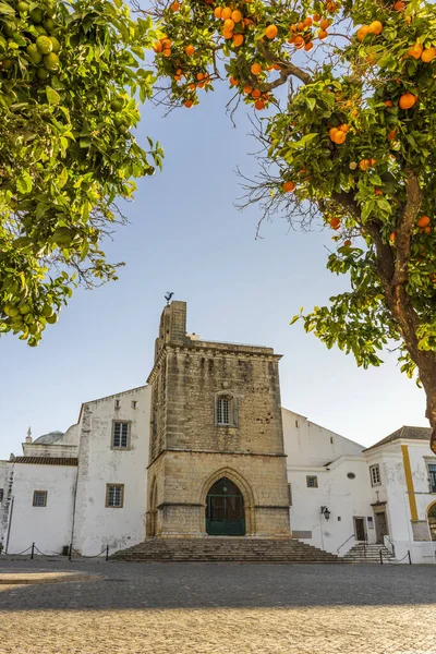 Centro Faro Con Catedral Por Mañana Con Naranjo Primer Plano — Foto de Stock