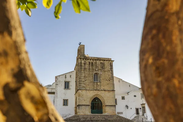 Faro Şehir Merkezinde Sabah Katedrali Ile Planda Portakal Ağacı Algarve — Stok fotoğraf