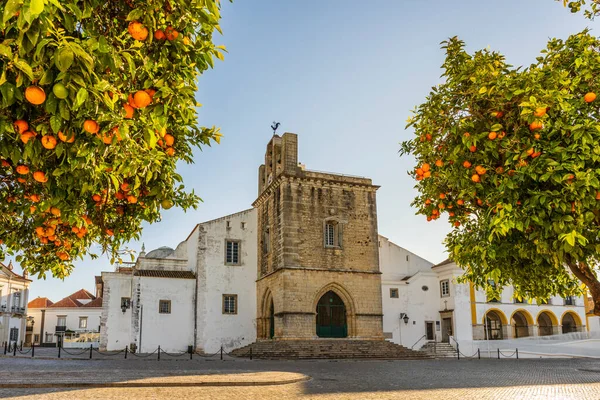 Downtown Faro Cathedral Morning Orange Tree Foreground Algarve Portugal — Stock Photo, Image