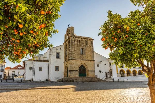 Downtown Faro Cathedral Πρωί Πορτοκαλιά Πρώτο Πλάνο Algarve Πορτογαλία — Φωτογραφία Αρχείου