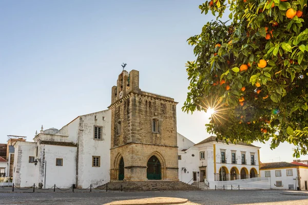Centro Faro Con Catedral Por Mañana Con Naranjo Primer Plano — Foto de Stock