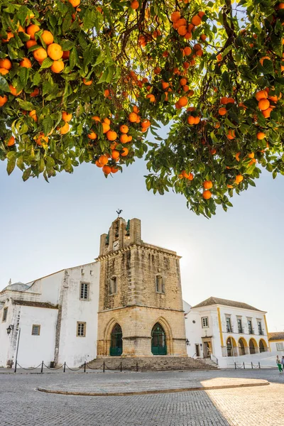 아침에 대성당 전경에는 포르투갈 알가르베 오렌지 나무가 — 스톡 사진