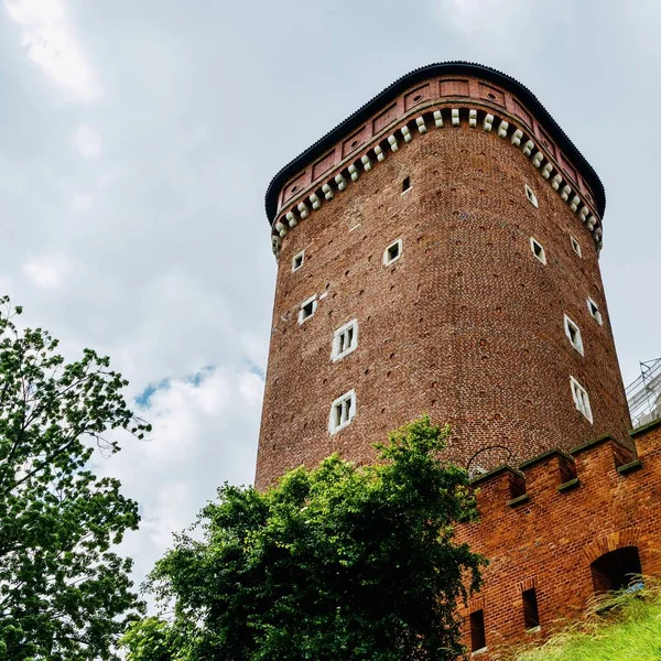 Sandomir Kulesi - mevcut üç Wawel kulesinden biri, Krakow, Polonya.