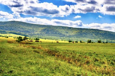 Dağların güzel manzarası