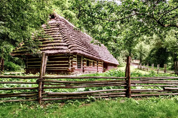  Geleneksel bir Polonya evinin bir parçası sazdan çatılı ve ahşap kapılı ulusal tarzda boyanmış..