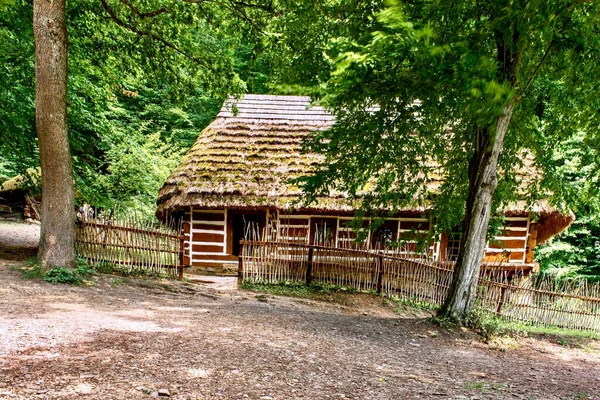  Geleneksel bir Polonya evinin bir parçası sazdan çatılı ve ahşap kapılı ulusal tarzda boyanmış..