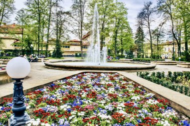 Bir sürü çiçeğin olduğu parkta bir çeşme.