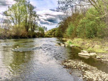 Suda ve ağaçlarda kayalar olan bir nehir.