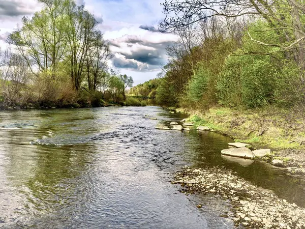 Suda ve ağaçlarda kayalar olan bir nehir.