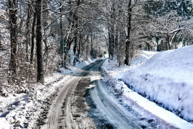 Ağaçlar kış yol kar ile kaplı