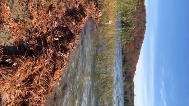 Güz Göl Kıyılarının Hareketli Dalgalarıyla Sabit Görüntüleri Sonbahar Sarısı Yeşil — Stok video