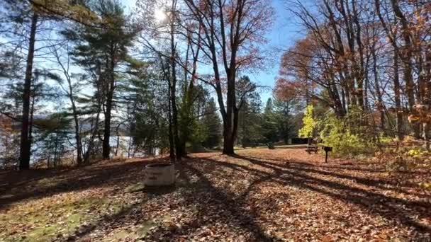 Широкий Обзор Камеры Солнечном Осеннем Парке Осень Желтые Зеленые Оранжевые — стоковое видео