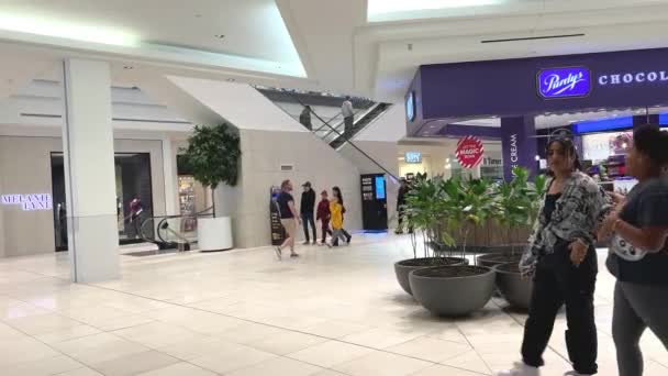 Nsanlar Büyük Mağazada Tatil Alışverişi Yapıyor Alışveriş Merkezinde Yürüyen Müşteriler — Stok video