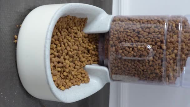 Close Automatic Pet Feeder Dispenser Full Dry Kibble Cat Dog — Vídeo de Stock