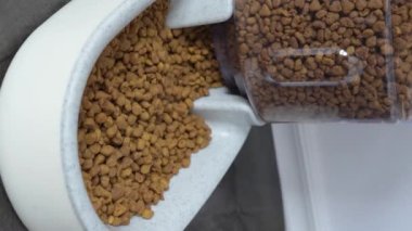 Close up automatic Pet feeder dispenser full of dry kibble for cat or dog. Vertical. Modern, elegant, simple-looking home appliance on light background. Food storing for home pets. Travel without pet