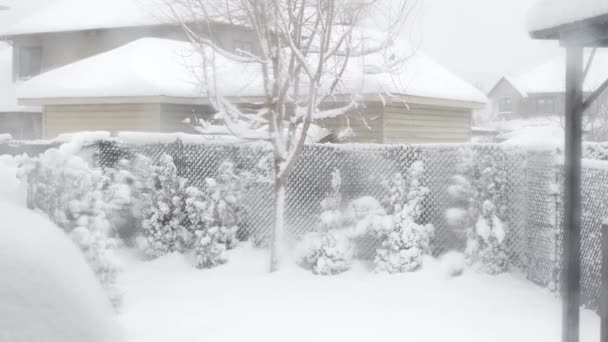 View Trees Bushes Gazibo Backyard Heavy Snowfall Blizzard Wind Gusts — Stockvideo