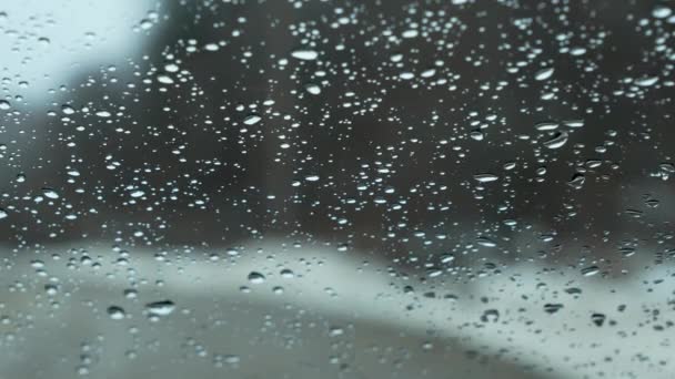 Snow Fall Window Melting Water Drops Glass Forest Large Rain — Stock videók
