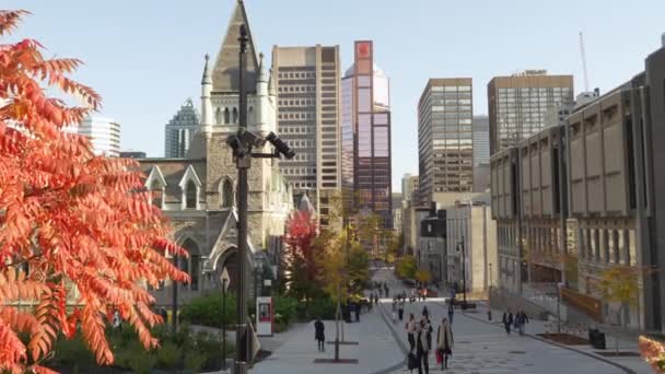 Scenic View Historical Landmark Mcgill University Fall Season Montreal People — стоковое видео