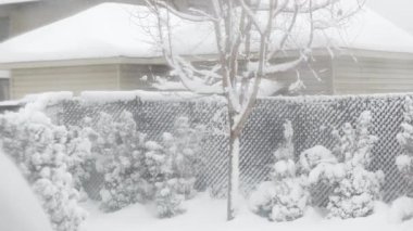 View of the trees, bushes, gazibo on backyard in heavy snowfall with blizzard and wind gusts against the background.