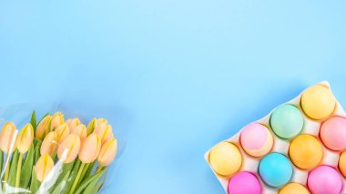 Bahar dairesi, mavi arka planda taze sarı lalelerle renklendirilmiş yumurtalarla yatıyordu. Paskalya, Anneler Günü, doğum günü veya fotokopi çekimli yıldönümü. Tatlı gökkuşağı renginde Paskalya yumurtaları, küçük pastel renkler