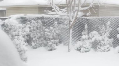 View of the trees, bushes, gazibo on backyard in heavy snowfall with blizzard and wind gusts against the background.